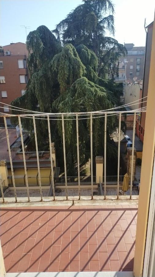 B & B Via Borgo Di San Pietro 博洛尼亚 外观 照片