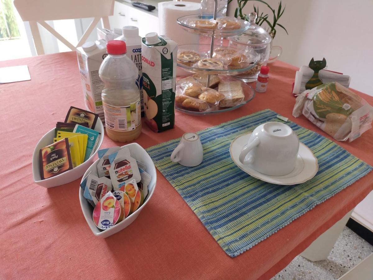 B & B Via Borgo Di San Pietro 博洛尼亚 外观 照片