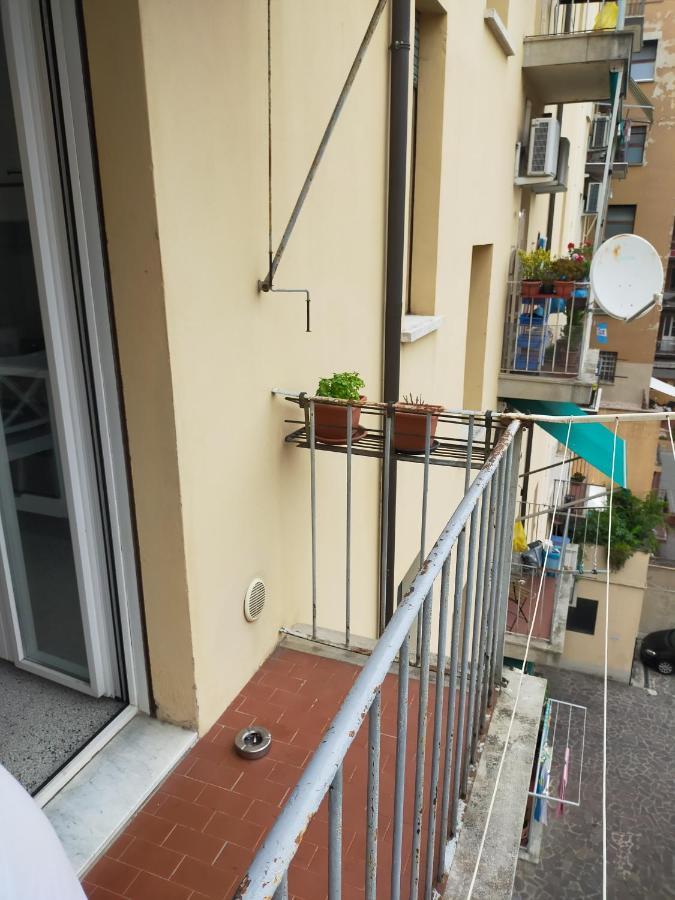 B & B Via Borgo Di San Pietro 博洛尼亚 外观 照片